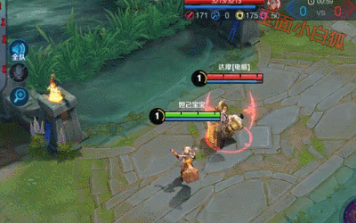 gif5.jpg
