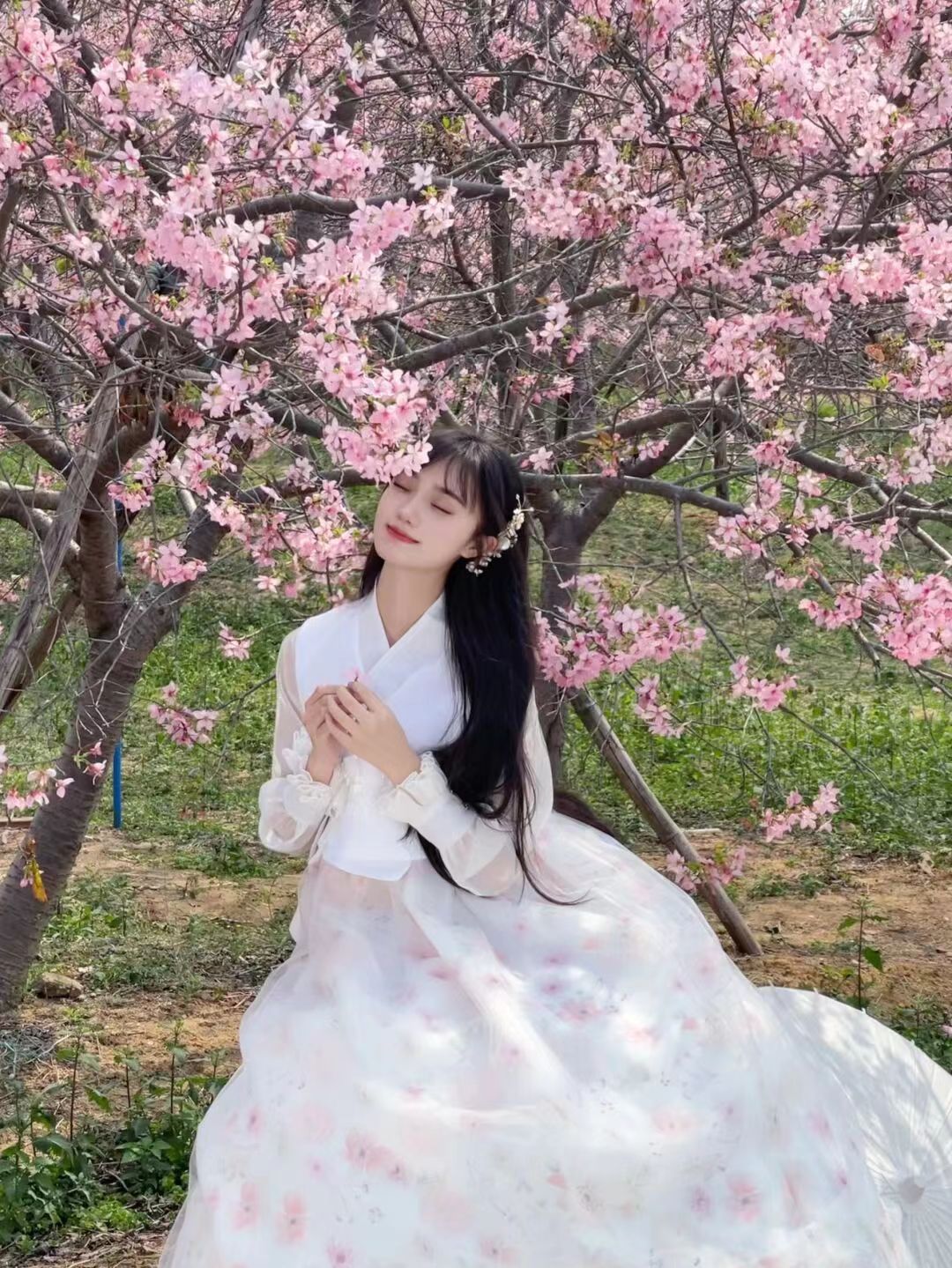 微信图片_202307291738573