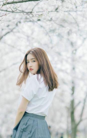 大香煮芒果2023大象