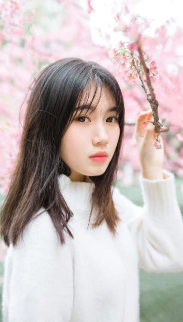 xrk1_3_0ark向日葵幸福宝解锁版