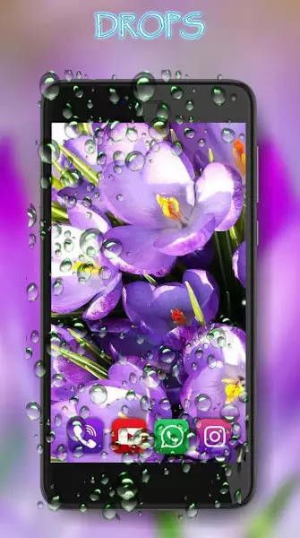 番红花之春壁纸手机版下载-番红花之春壁纸app下载最新版 1.9