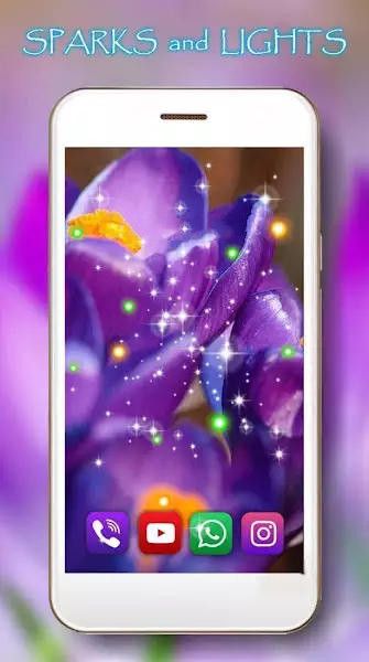 番红花之春壁纸手机版下载-番红花之春壁纸app下载最新版 1.9