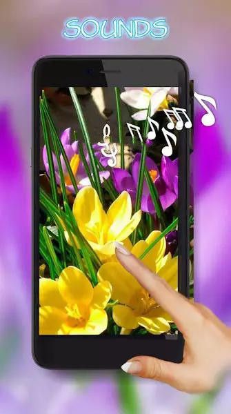 番红花之春壁纸手机版下载-番红花之春壁纸app下载最新版 1.9