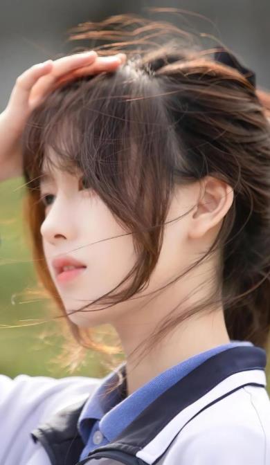 秋葵向日葵草莓丝瓜小猪榴莲