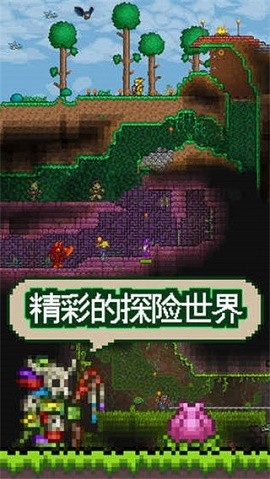 泰拉瑞亚2023最新版本下载-泰拉瑞亚2023最新版免费下载v1.4.4.9.2