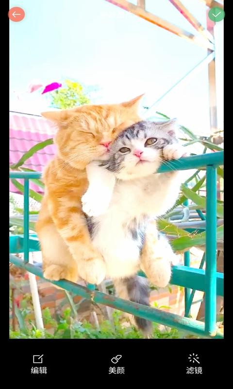 优美相机app下载安装-优美相机手机版下载 1.0