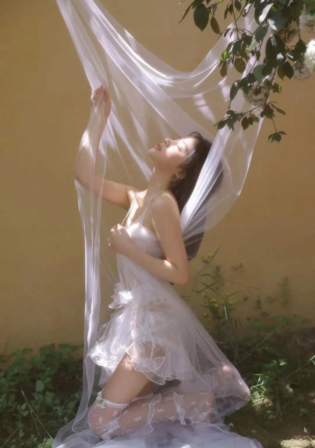 微信图片_202308161547041