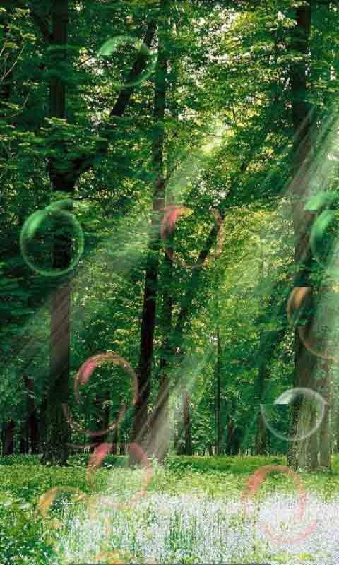 泡泡动态壁纸app下载最新版-泡泡动态壁纸官方app手机版下载安装 2.0.7