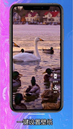 简约壁纸app下载安装-简约壁纸最新版本下载 1.0.4