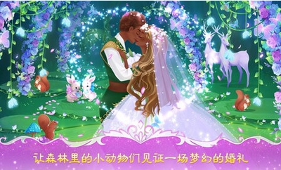 公主婚礼设计师游戏下载-公主婚礼设计师游戏官方版 1.0.9
