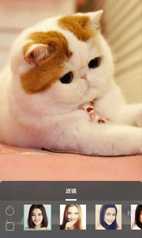 carton复古相机app下载安装最新版-carton复古相机手机app官方下载 1.2