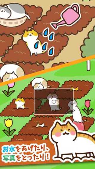 猫咪田园手游下载-猫咪田园游戏免费下载 2.1.9