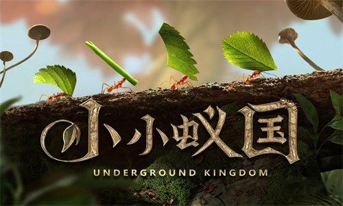 小小蚁国游戏下载安装-小小蚁国最新免费版下载
