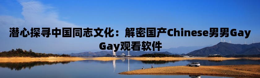 潜心探寻中国同志文化：解密国产Chinese男男GayGay观看软件