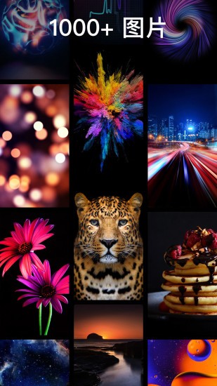灵猫主题壁纸免费版下载-灵猫主题壁纸官网app手机版下载 1.0.2