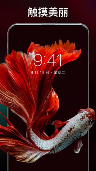 灵猫主题壁纸免费版下载-灵猫主题壁纸官网app手机版下载 1.0.2