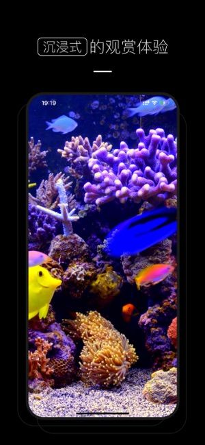 4K超清壁纸app官网下载安装-4K超清壁纸软件手机版下载 1.0.6