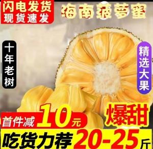 菠萝蜜进口路线区二1688 菠萝蜜进口路线区二1688