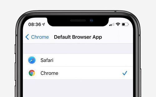 苹果14自带的浏览器叫什么;ios14浏览器下载的软件怎么安装 苹果14自带的浏览器叫什么;ios14浏览器下载的软件怎么安装