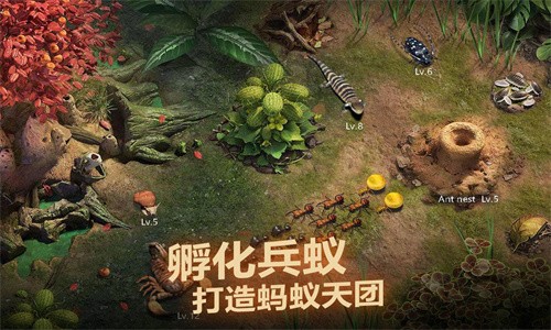 小小蚁国无限钻石版游戏下载-小小蚁国无限钻石版游戏手机版 1.29.0