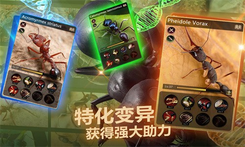 小小蚁国无限钻石版游戏下载-小小蚁国无限钻石版游戏手机版 1.29.0