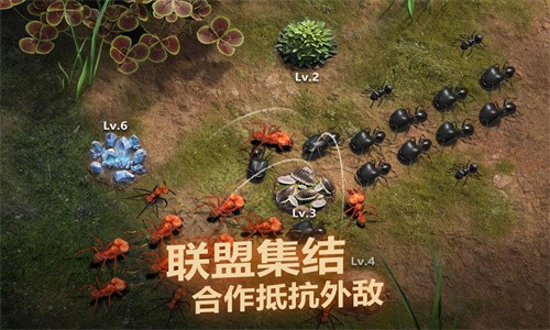 小小蚁国无限钻石版游戏下载-小小蚁国无限钻石版游戏手机版 1.29.0