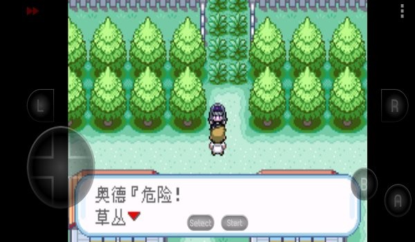口袋妖怪究极之路游戏下载-口袋妖怪究极之路游戏手机版 beta009