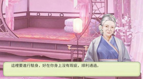 后.宫妖妃传