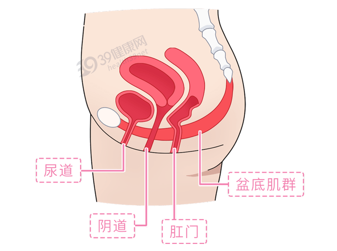 它变大了,你感觉到了吗? ***内阴径越来越大的感觉是什么? 它变大了,你感觉到了吗? ***内阴径越来越大的感觉是什么?