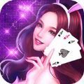 猫咪最新棋牌