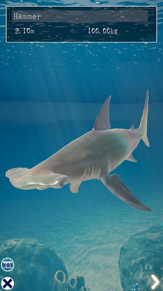Shark手游下载-Shark免费手游下载 1.1.0