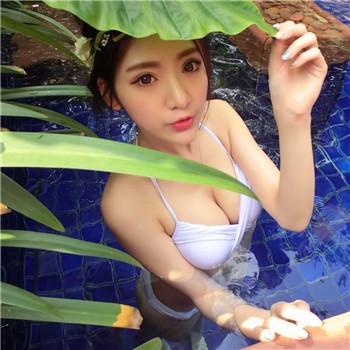 japonensisfes中国vedao软件