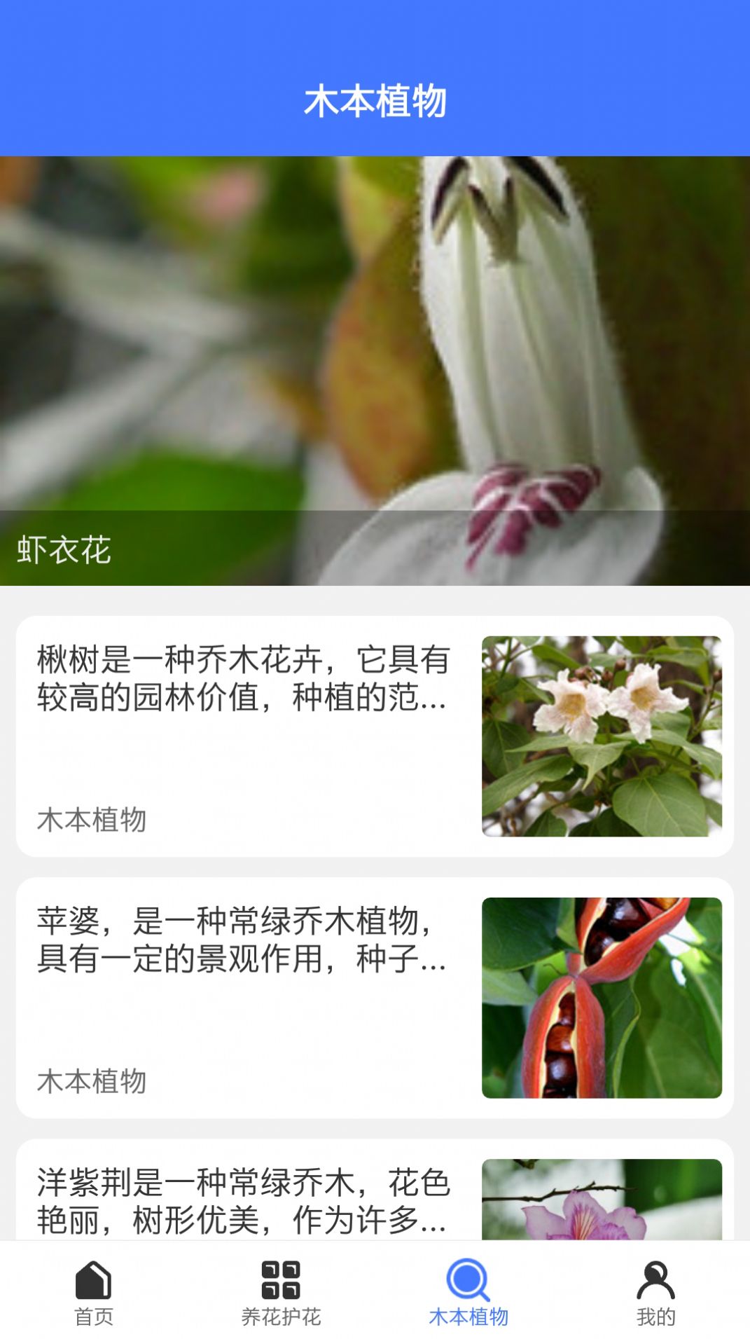 好用拍照识别最新版2022官方下载-好用拍照识别官网app最新版下载 1.0.4