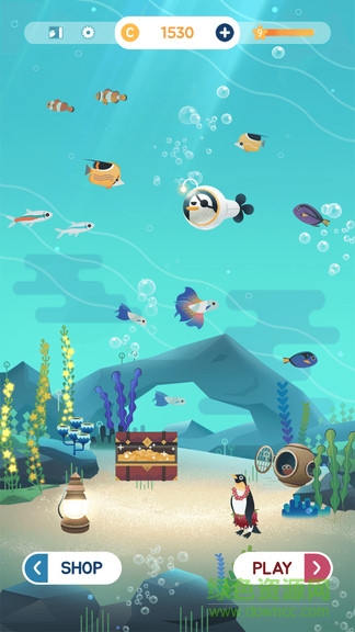 Puzzle Aquarium游戏下载-Puzzle Aquarium游戏手机版 91