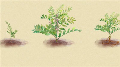 本草归元录手游下载-本草归元录游戏免费下载 暂无资源