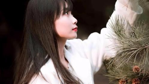 294e1d9b8947fcd9e676aa6dc26ec363