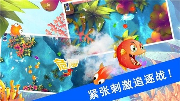 鲨鱼风暴游戏下载-鲨鱼风暴最新版手游 1.1.5