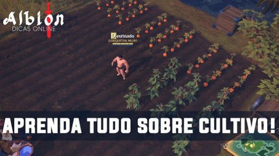 阿尔比恩游戏下载-阿尔比恩游戏手机版 1.23.020.266498