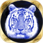 四虎影音破解版