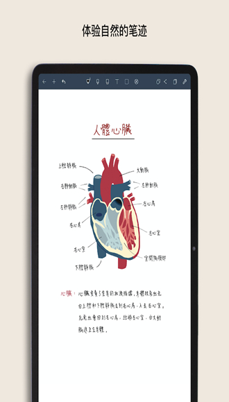 noteshelf无限纸张手机版下载-noteshelf无限纸张软件下载 4.14