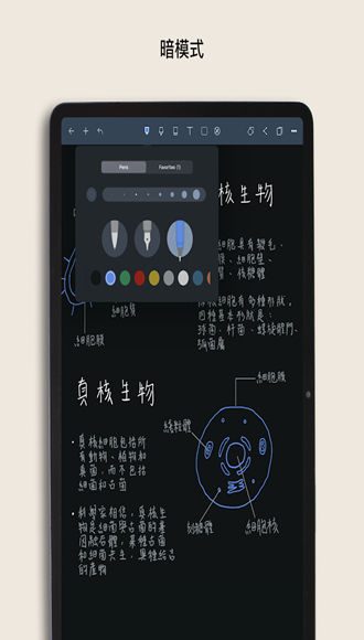 noteshelf无限画布最新版2022官方下载-noteshelf无限画布官网app最新版下载 4.14
