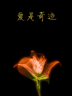 手机桌面动态壁纸 手机桌面动态壁纸