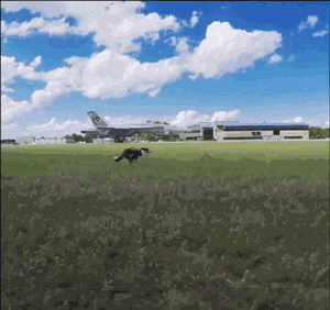 飞常准航班动态查询实时查询(飞常准实时航班位置) 飞常准航班动态查询实时查询(飞常准实时航班位置)