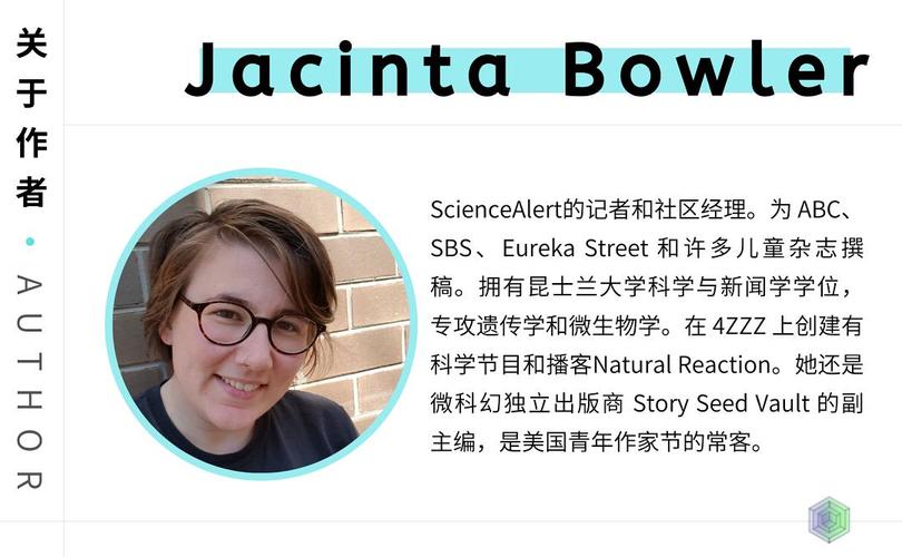 alert是什么意思翻译 alert是什么意思翻译