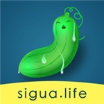 丝瓜草莓秋葵污旧版APP污版