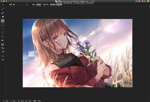 动漫绘图软件哪个好(动漫绘图工具) 动漫绘图软件哪个好(动漫绘图工具)