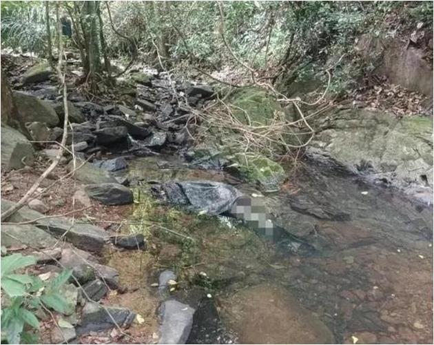 2021年手机铃声排行榜前十名(最火玲声排行榜2021) 2021年手机铃声排行榜前十名(最火玲声排行榜2021)