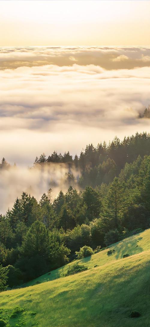超好看的锁屏壁纸(超美腻锁屏壁纸,装点你的手机屏幕) 超好看的锁屏壁纸(超美腻锁屏壁纸,装点你的手机屏幕)