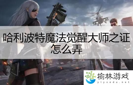 哈利波特魔法觉醒大师之证怎么弄