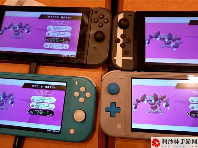 口袋妖怪剑盾DLC冠之雪原神兽收集攻略，第二弹DLC冠之雪原全神兽收集汇总[视频][多图]图片22